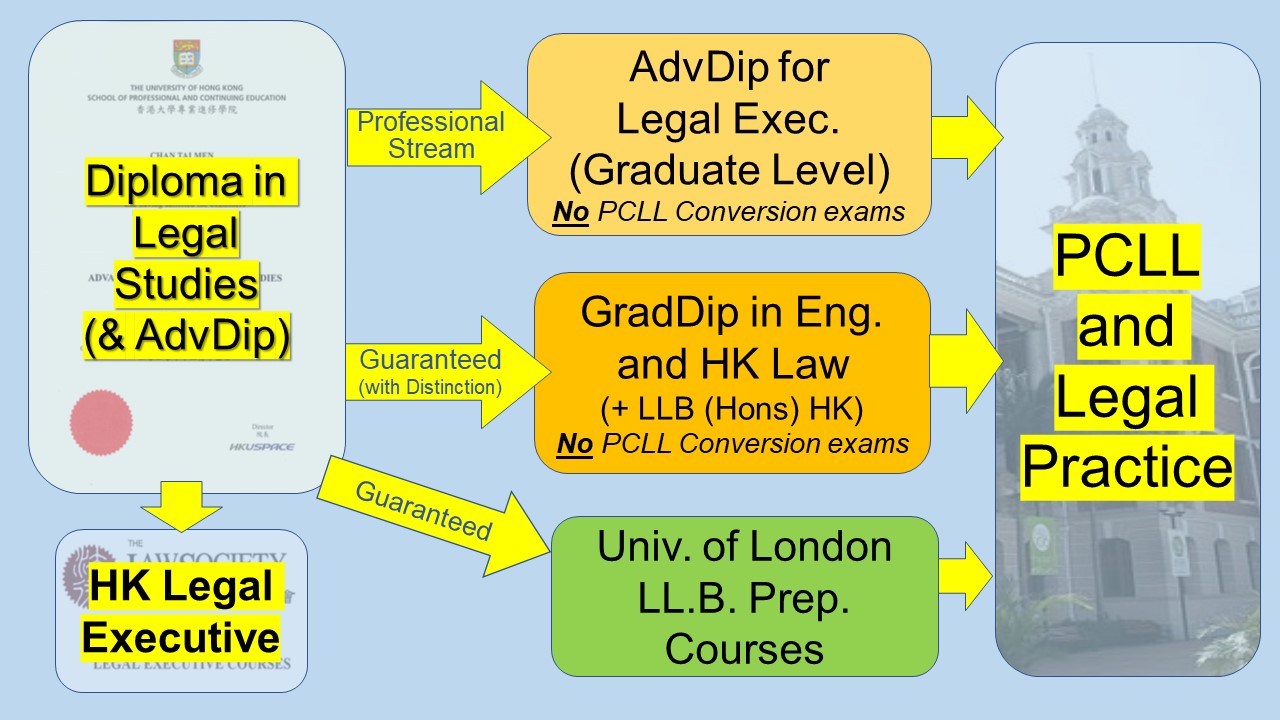 DLS pathways